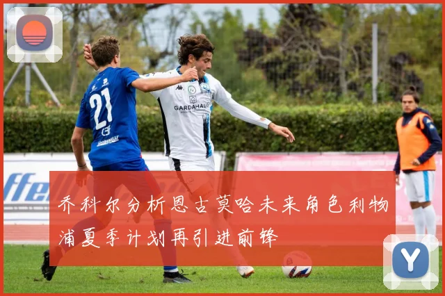 乔科尔分析恩古莫哈未来角色利物浦夏季计划再引进前锋